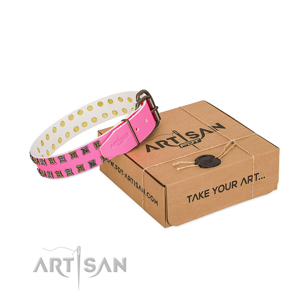 Full grain leather collar with fashionable embellishments for your pet