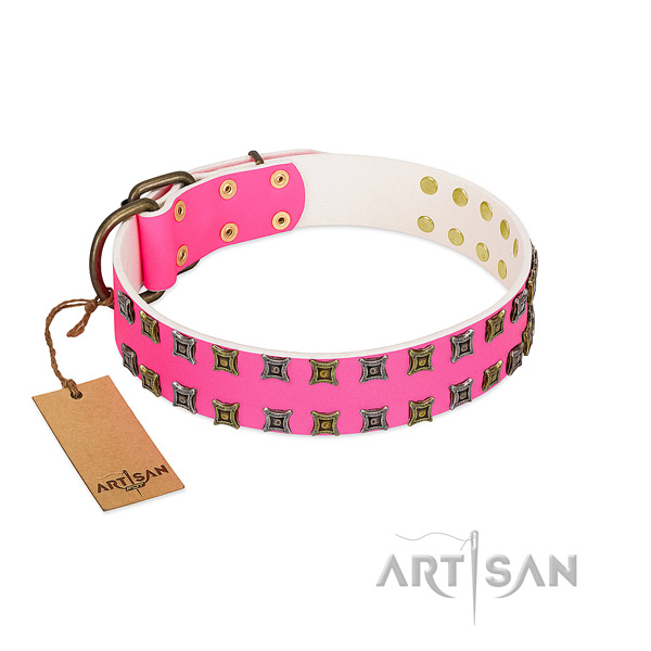 Genuine leather collar with stunning studs for your pet