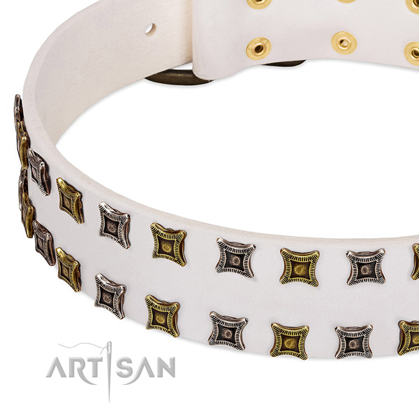 Leather dog collar with adornments for your stylish dog