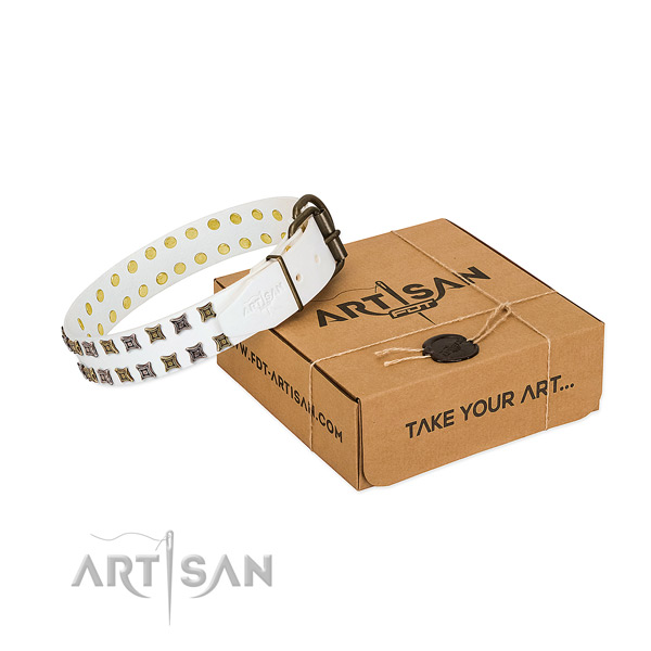 Full grain natural leather collar with stylish design adornments for your canine