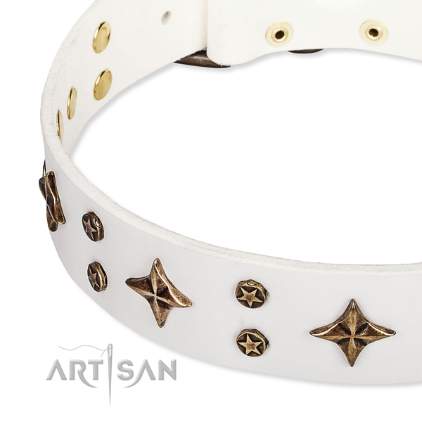 Easy wearing decorated dog collar of top quality full grain natural leather