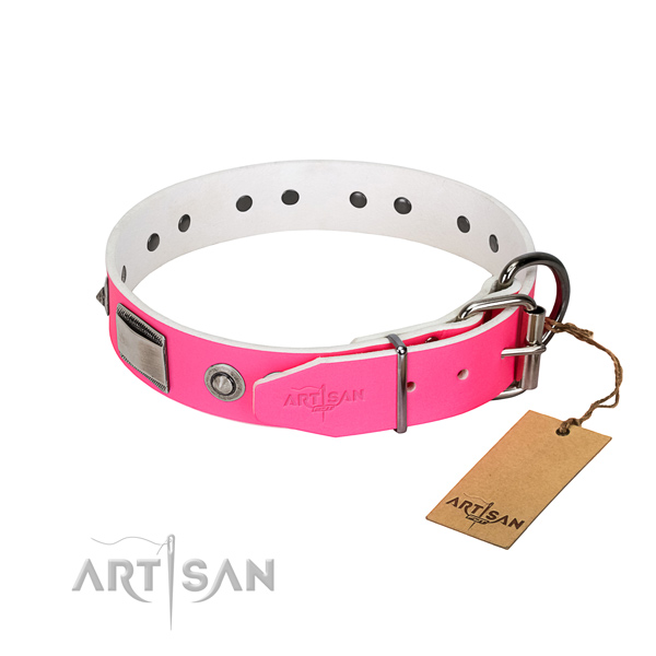 Unusual dog collar of full grain natural leather with studs