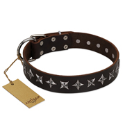 "Stars of Glory" FDT Artisan Brown Leather Riesenschnauzer Collar for Comfortable Walking
