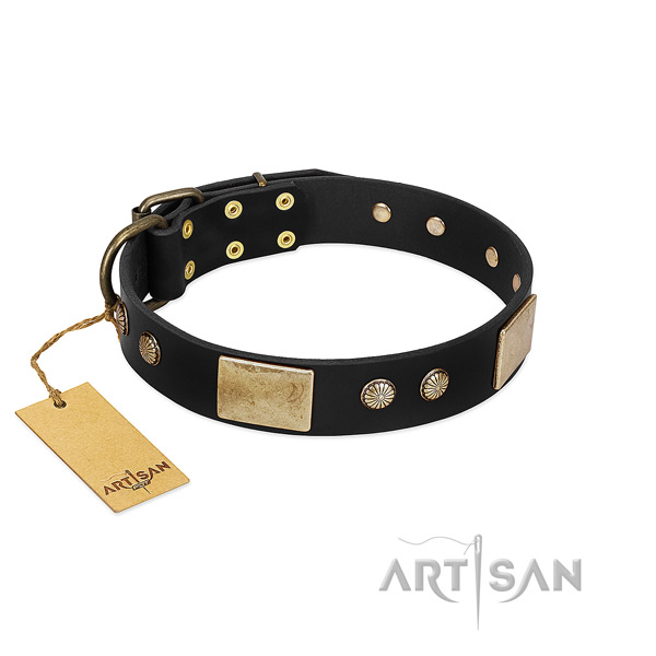 Easy adjustable full grain leather dog collar for walking your canine