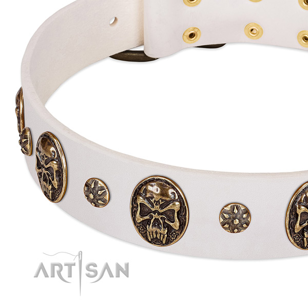 Corrosion proof fittings on natural genuine leather dog collar for your doggie