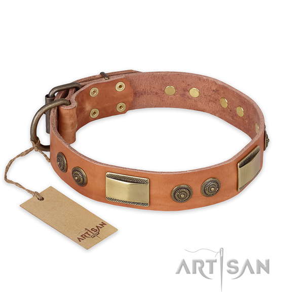 Top notch full grain natural leather dog collar for basic training