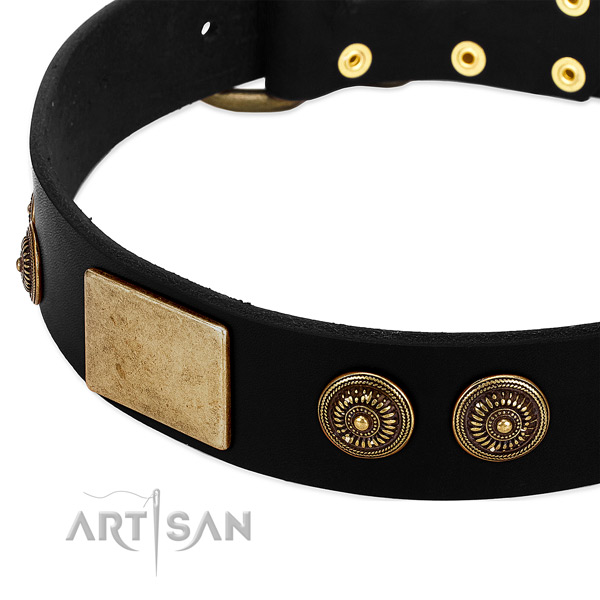 Rust-proof decorations on full grain genuine leather dog collar for your pet