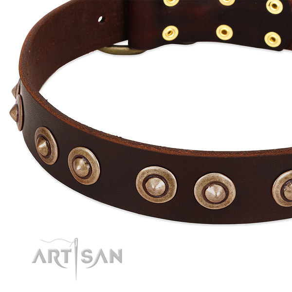 Corrosion resistant embellishments on genuine leather dog collar for your four-legged friend