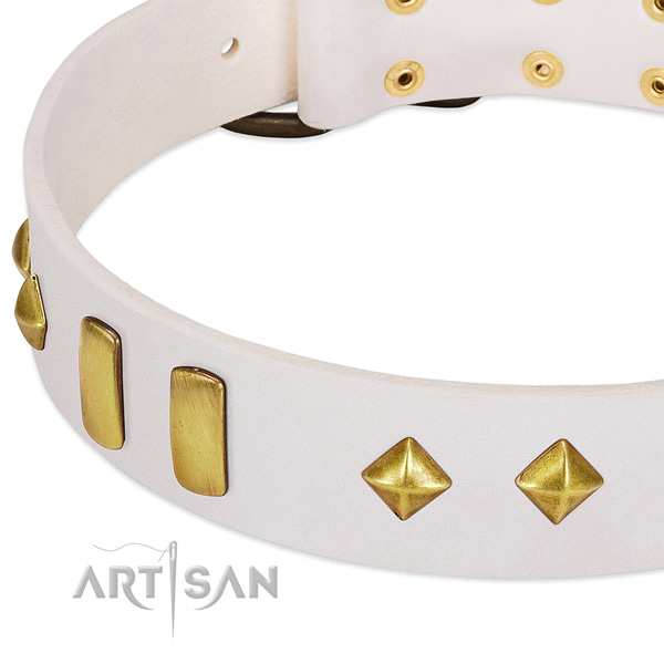 Soft to touch natural leather dog collar with reliable hardware