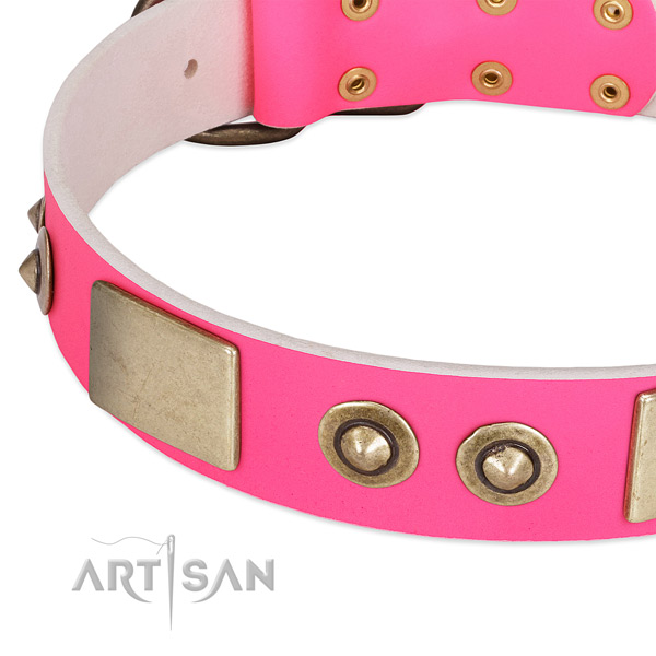 Durable adornments on genuine leather dog collar for your dog