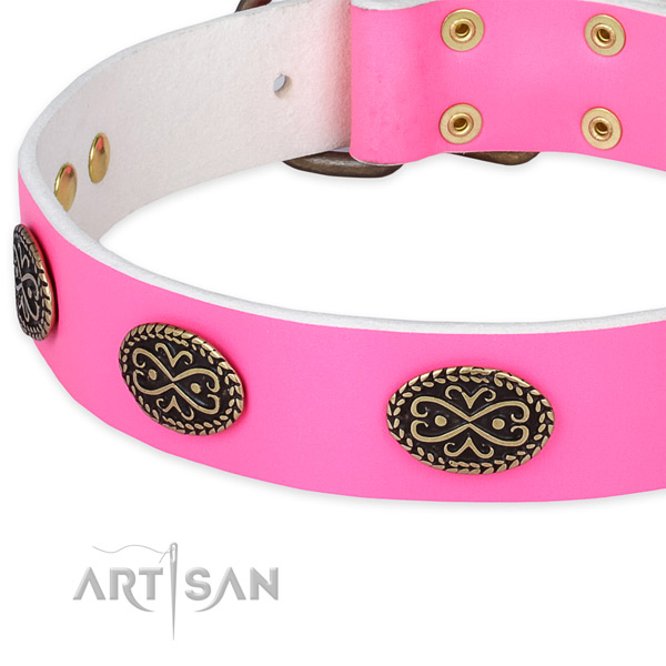 Natural genuine leather dog collar with studs for stylish walking