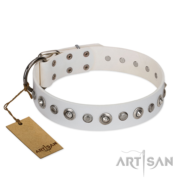 Top notch full grain leather dog collar with awesome decorations