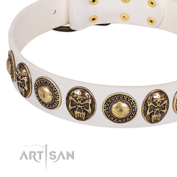 Rust resistant embellishments on leather dog collar for your canine