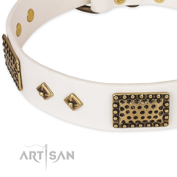 Corrosion resistant adornments on genuine leather dog collar for your doggie