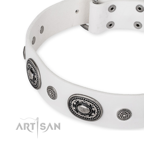 Flexible genuine leather dog collar crafted for your handsome dog