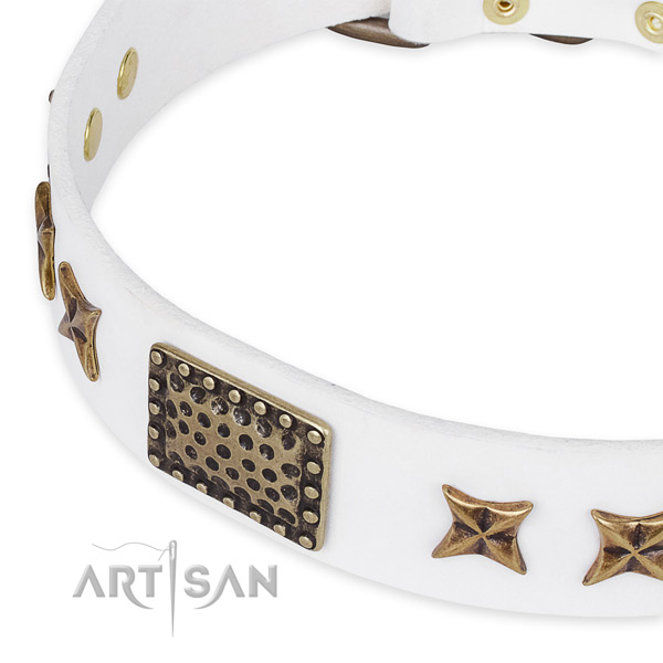 Genuine leather collar with durable hardware for your impressive doggie