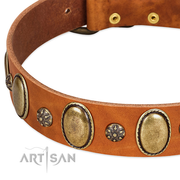 Daily walking quality full grain genuine leather dog collar