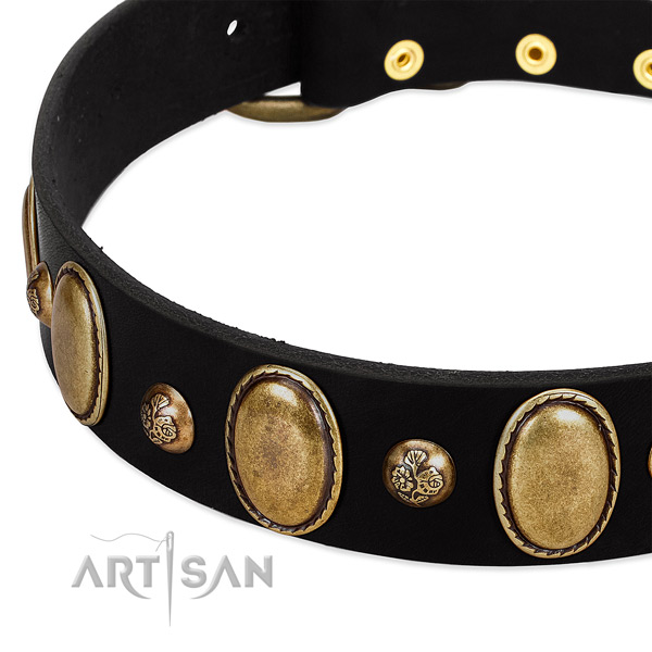 Genuine leather dog collar with stylish embellishments