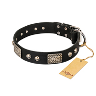 "Pirates Gold" FDT Artisan Black Leather Riesenschnauzer Collar with Old Silver Look Plates and Skulls