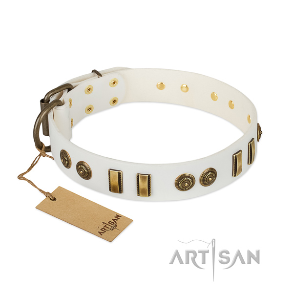 Corrosion proof embellishments on full grain leather dog collar for your dog