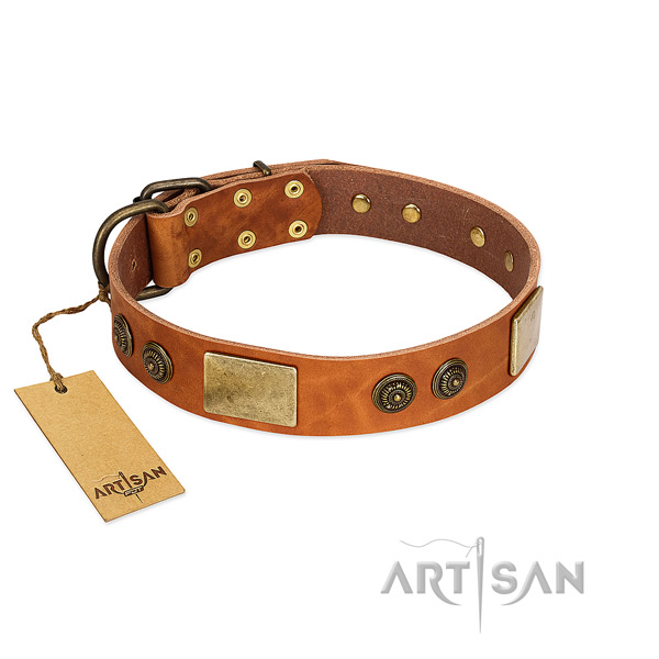Stunning full grain leather dog collar for basic training