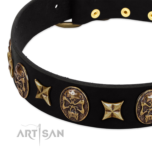 Corrosion proof decorations on full grain natural leather dog collar for your doggie