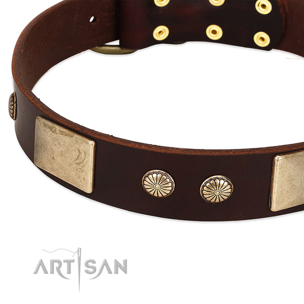 Corrosion proof buckle on genuine leather dog collar for your doggie