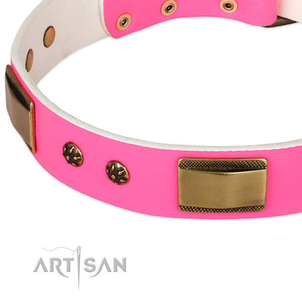 Corrosion proof embellishments on leather dog collar for your four-legged friend