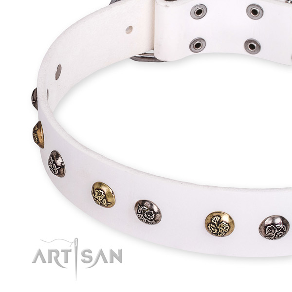 Natural leather dog collar with designer reliable embellishments