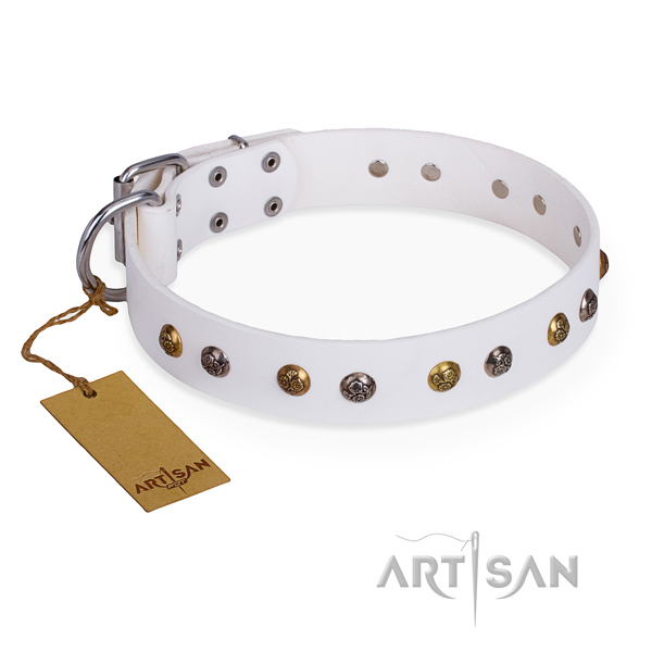 Easy wearing top quality dog collar with corrosion proof buckle
