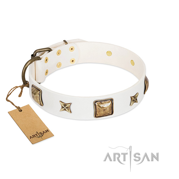 Impressive full grain natural leather dog collar for everyday use