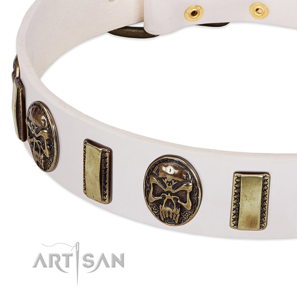 Reliable studs on natural genuine leather dog collar for your doggie
