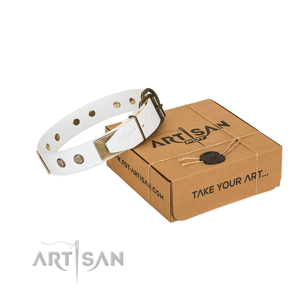 Durable buckle on dog collar for everyday use