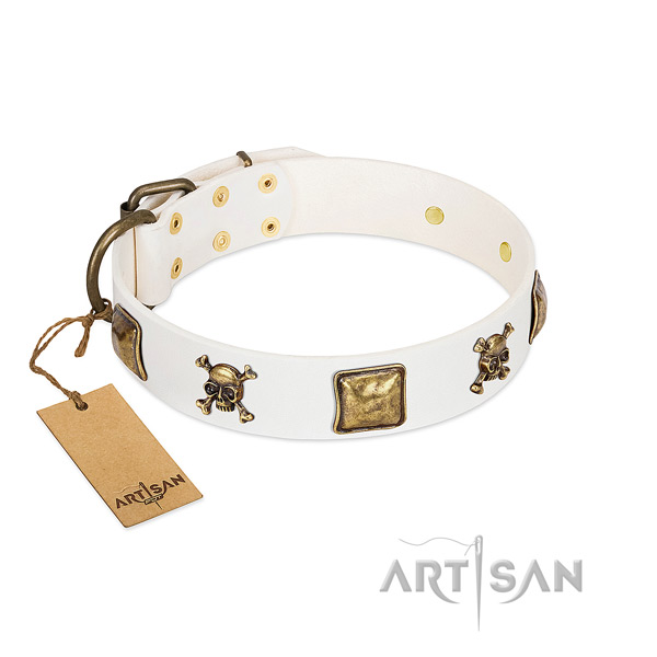 Everyday use high quality leather dog collar with embellishments