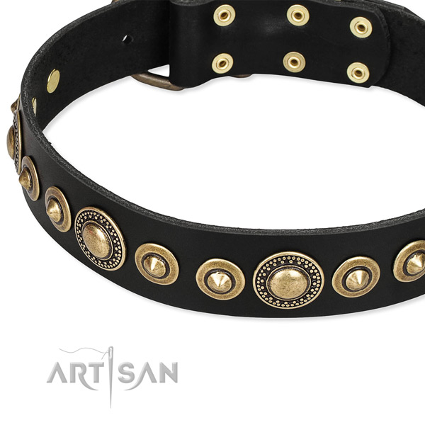 Durable full grain natural leather dog collar crafted for your beautiful pet