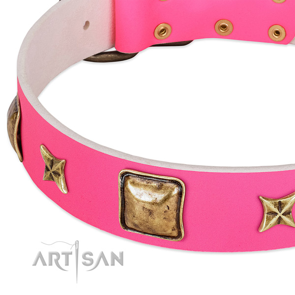 Full grain natural leather dog collar with significant studs