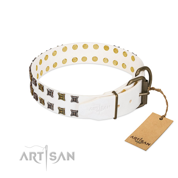 Full grain genuine leather collar with unique embellishments for your dog