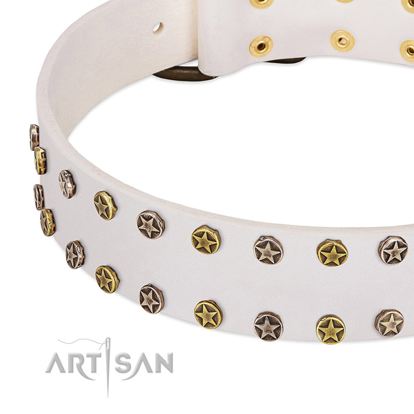 Unusual decorations on full grain natural leather collar for your pet