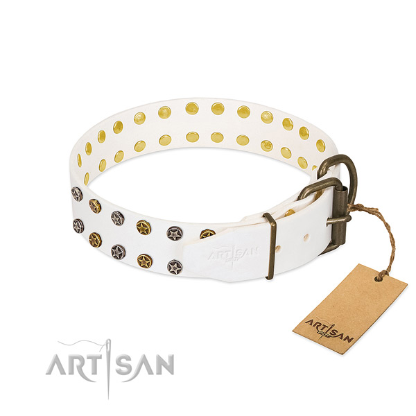 Trendy full grain natural leather dog collar with rust resistant adornments