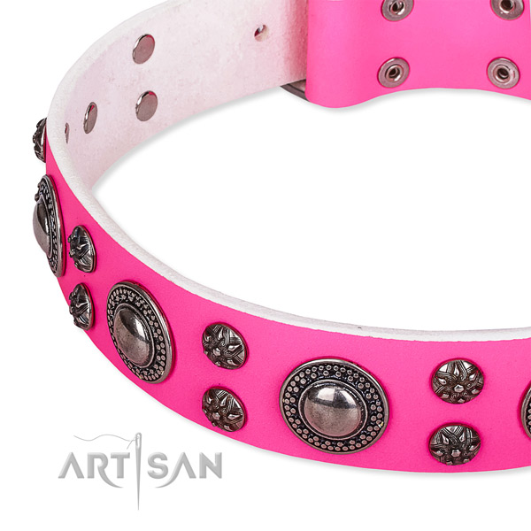 Stylish walking embellished dog collar of top notch genuine leather