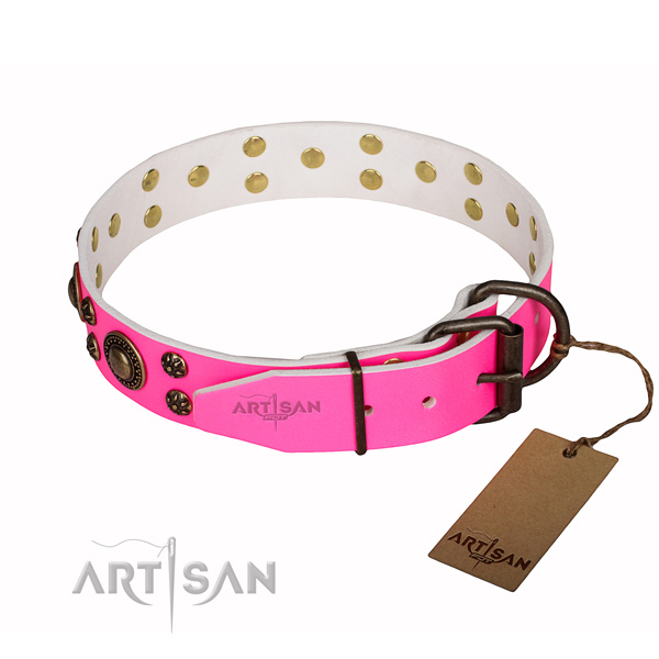 Walking adorned dog collar of reliable full grain genuine leather