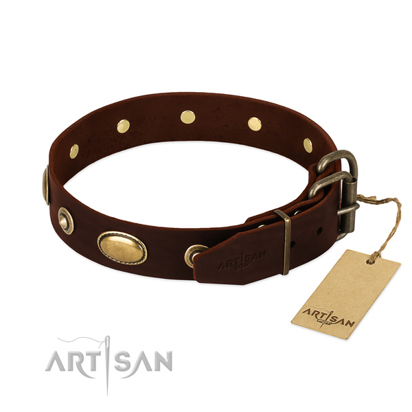 Corrosion proof D-ring on leather dog collar for your pet