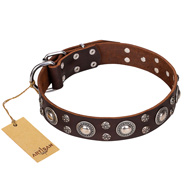 "Age of Beauty" FDT Artisan Incredible Studded Brown Leather Riesenschnauzer Collar