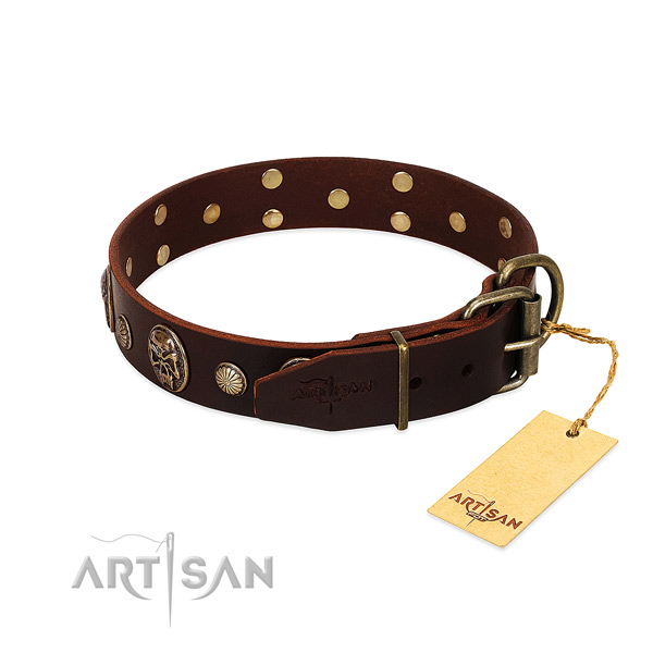 Corrosion resistant D-ring on everyday walking dog collar