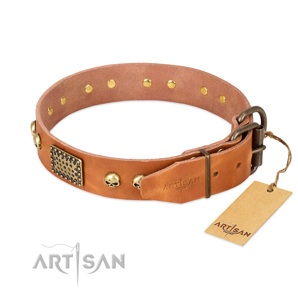 Strong D-ring on easy wearing dog collar