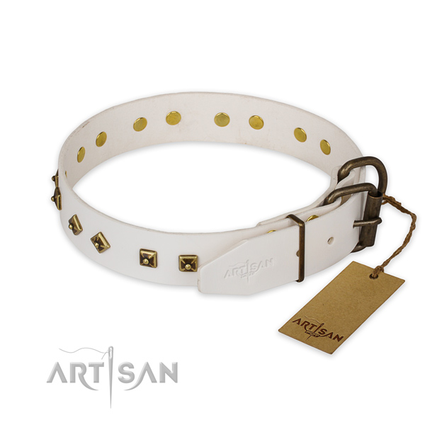 Strong D-ring on leather collar for stylish walking your doggie