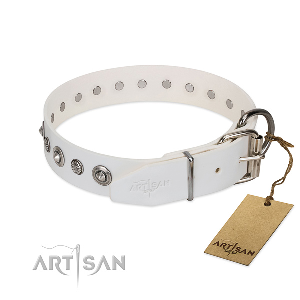 Fine quality leather dog collar with stylish design adornments