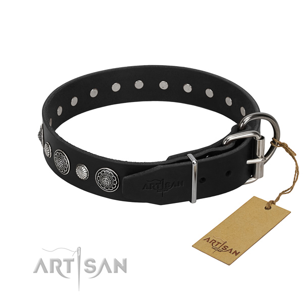 Strong full grain leather dog collar with trendy decorations