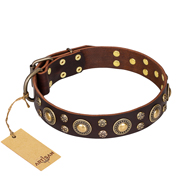 "Flower Melody" FDT Artisan Brown Leather Riesenschnauzer Collar with Mixed Studs