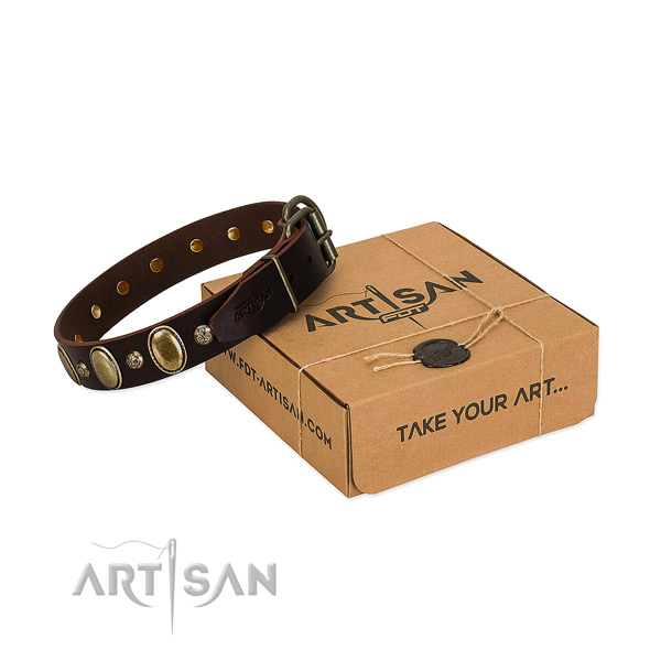 Trendy leather dog collar with corrosion resistant buckle